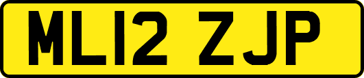ML12ZJP