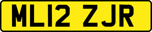 ML12ZJR