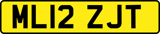 ML12ZJT