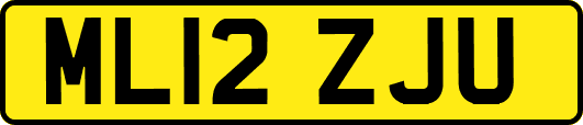 ML12ZJU