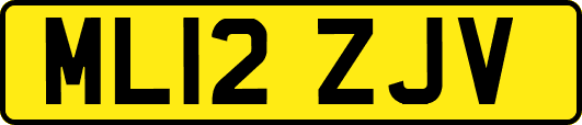 ML12ZJV