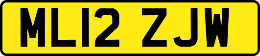 ML12ZJW