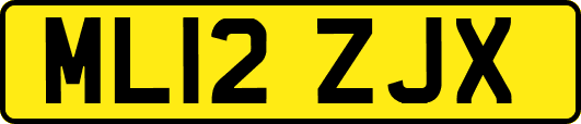 ML12ZJX