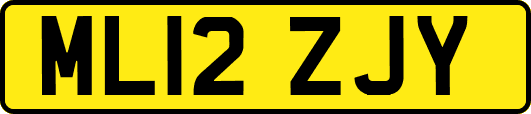 ML12ZJY