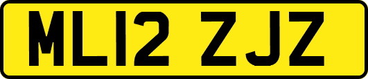 ML12ZJZ