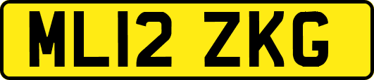 ML12ZKG