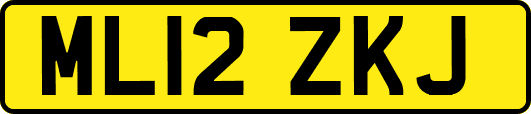 ML12ZKJ