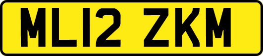 ML12ZKM