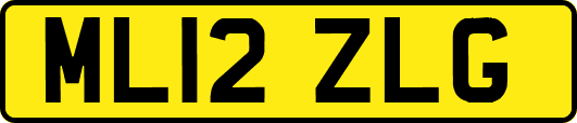 ML12ZLG