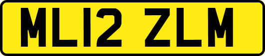 ML12ZLM