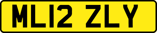 ML12ZLY