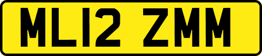 ML12ZMM