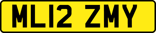 ML12ZMY