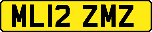 ML12ZMZ