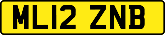 ML12ZNB