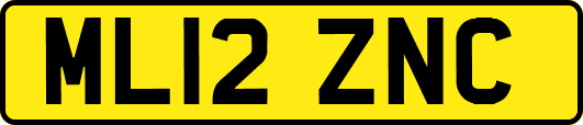 ML12ZNC