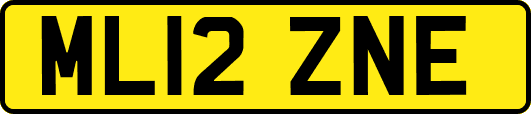 ML12ZNE