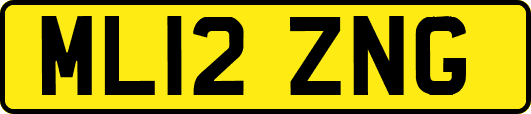 ML12ZNG
