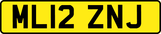 ML12ZNJ