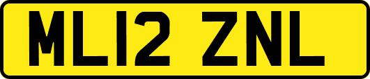 ML12ZNL