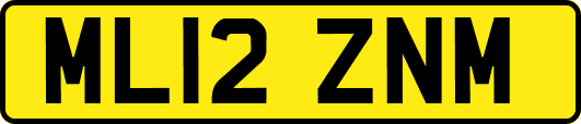 ML12ZNM