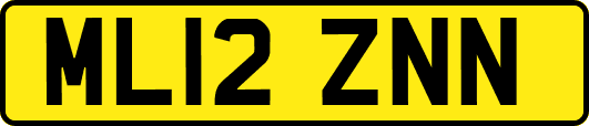 ML12ZNN