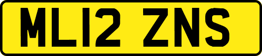 ML12ZNS