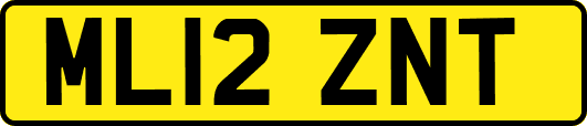 ML12ZNT