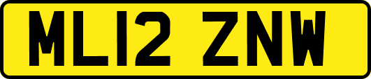 ML12ZNW