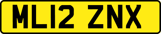 ML12ZNX