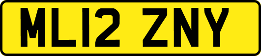 ML12ZNY