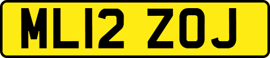 ML12ZOJ