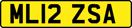ML12ZSA