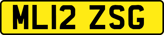 ML12ZSG