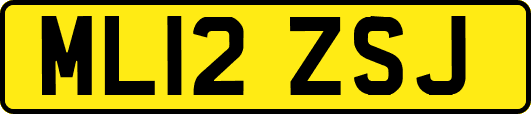 ML12ZSJ