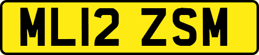 ML12ZSM