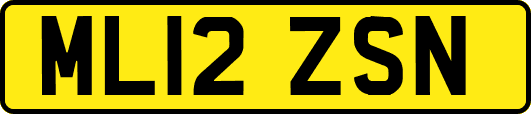 ML12ZSN