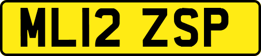 ML12ZSP