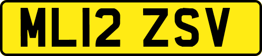 ML12ZSV