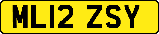 ML12ZSY