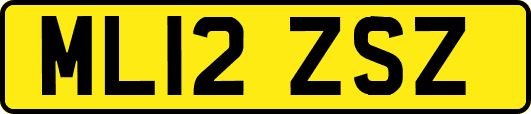 ML12ZSZ