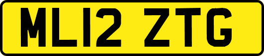 ML12ZTG