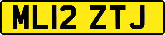 ML12ZTJ