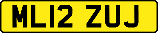 ML12ZUJ