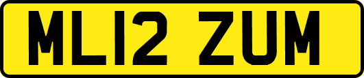 ML12ZUM
