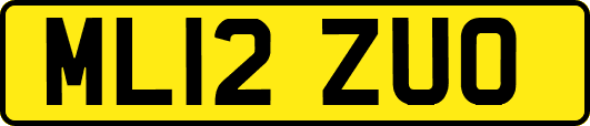 ML12ZUO