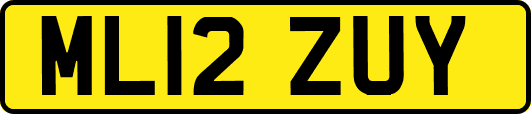 ML12ZUY