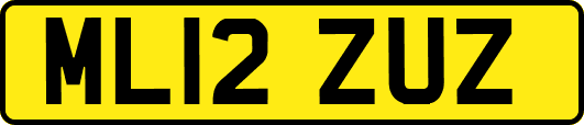 ML12ZUZ