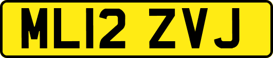 ML12ZVJ
