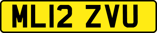 ML12ZVU